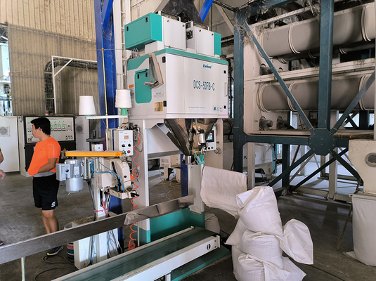 Machine à emballer manuelle automatique de riz d'Ewinall DCS-50FB-C 5kg 10kg 15kg 25kg