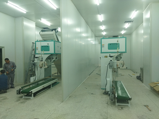 Machine à emballer complètement automatique de riz de granule en plastique pour la rizerie