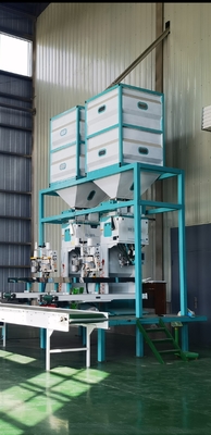 Machine à emballer en plastique de riz de granules d'arachides 2,5 - opération de l'écran tactile 50KG
