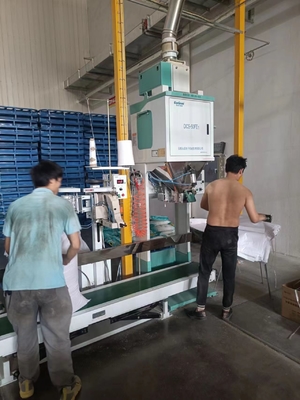 Machine à emballer en plastique de riz de granules d'écrous de PeanutsFeed 10 - 50KG 200 - 480bag/H