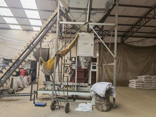 Les arachides la machine à emballer d'alimentation des animaux d'aliment pour animaux familiers DCS-50E2-Z