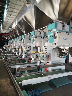 Levage automatique à grande vitesse de la machine de conditionnement de granule de haute précision 5-50KG