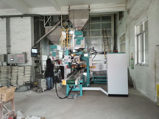 Machine de conditionnement complètement automatique de double entrepôt de sac 5-25KG pour des haricots de riz