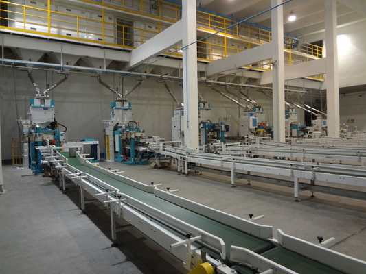 Lignes d'emballage automatisées multifonctionnelles de mouvement servo système de Palletzing de robot de Converying